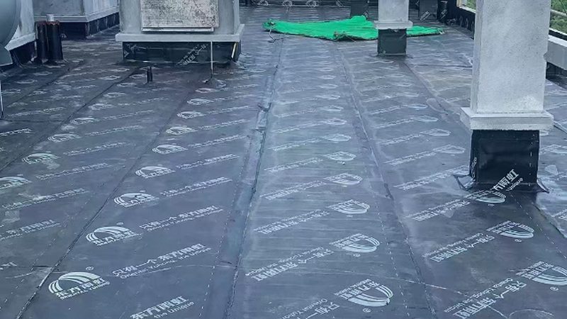 非固化防水涂料：揭秘其独特魅力与选购要点**